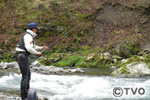 テレビ大阪：The Fishing「清流･長良川のアマゴを狙う」