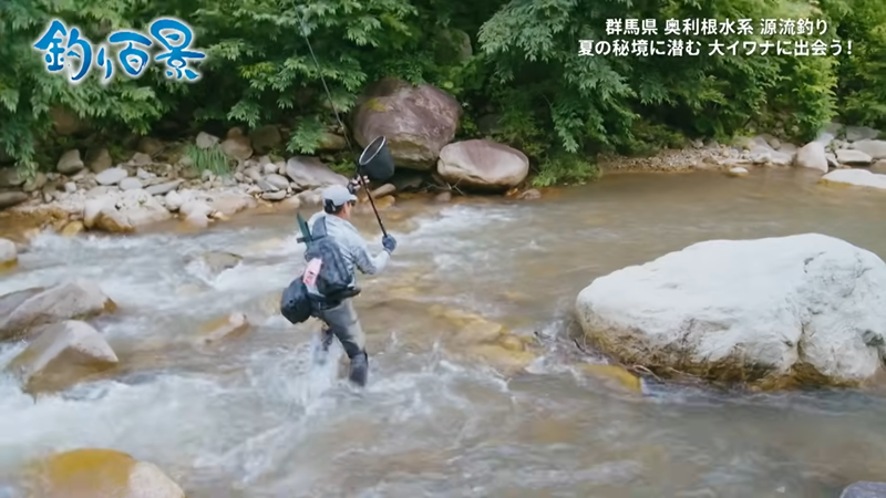 【釣り百景】#599 群馬県奥利根水系 源流釣り夏の秘境に潜む 大イワナに出会う旅