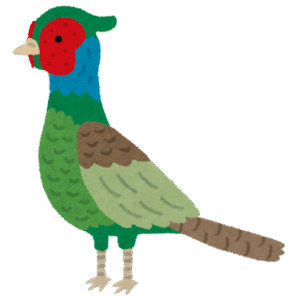 サイトチェック中に見つけたコラム、釣行記、レポート等をまとめてお知らせ 2025/11/18