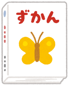 サイトチェック中に見つけたコラム、釣行記、レポート等をまとめてお知らせ 2025/09/18