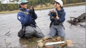 ブルーブルー：YouTube BlueBlueFishing チャンネルに『片山愛海が北海道にてビッグゲームトラウトに挑戦！』が公開されました