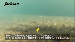 ジャクソン：YouTube studio jacksonチャンネルに『【マジックシリーズ】見慣れない動きに“ マス ”まっしぐら！』が公開されました