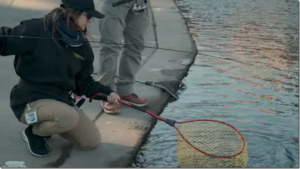 フォレスト：YouTube Lure Fishing Forest Channelに『基本を押さえて釣果アップを目指せ!! エリアトラウト定番スプーンの使い分けワンポイントレッスン!! / 池谷 哲哉』が公開されました