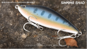 タックルハウス：YouTube TACKLE HOUSE公式チャンネルに『シンキングシャッドで狙うビッグトラウト。解説 ショータ・ジェンキンス』が公開されました