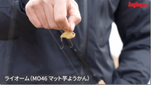 Anglingfan：YouTube アングリングファン TV公式チャンネルに『【ヴァルケイン】初場所攻略思考法を公開《菊地栄一》゙』が公開されました