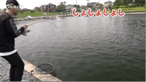 ヴァルケイン：Youtube ValkeIN チャンネルに『夏に必須のマイクロルアー 水流を意識して食わせ感を増すコツはこう！ 【 エリアトラウト】【管理釣り場】【マイクロスプーン】』が公開されました