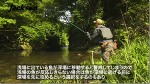 ジャクソン：YouTube studio jacksonチャンネルに『【初心者必見】魚の生息場所によるルアーローテーションを解説』が公開されました