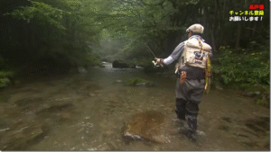 釣りビジョン：YouTube 釣りビジョン -Fishing Vision Japan- チャンネルに『吉田和展が夏の終わりの東北で尺ヤマメを狙う。『TROUT QUEST 18』【釣りビジョン】』が公開されました