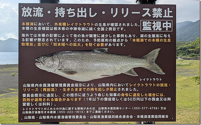 『本栖湖レイクトラウト釣り大会』が10月5日に開催！ 独特な背景を調べてみた 