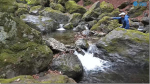 ティムコ：YouTube Tiemco Fly Fishing チャンネルに『小渓流のヤマメ・イワナ 「ショートリーダーの釣り」 #flyfishing #yamame #iwana #ヤマメ #イワナ #渓流釣り』が公開されました