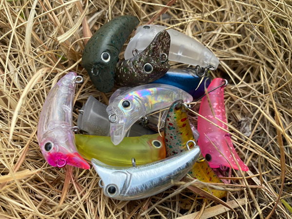 Little Diner　一品目　ポワレ（2） カラーの秘密 - BLOG | Angler's Republic