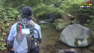 釣りビジョン：YouTube 釣りビジョン -Fishing Vision Japan- チャンネルに『渓流シーズン終盤のトラウト釣行、岩手の清流・和賀川＆豊沢川を平本仁が釣り歩く『トラウトギャラリー』【釣りビジョン】』が公開されました
