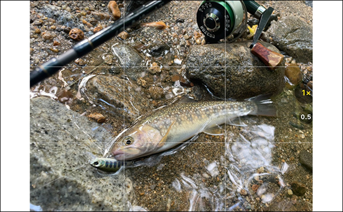 「夜にフラッシュはダメ？」釣った魚を美しく残すスマホ写真撮影方法を徹底解説 | TSURINEWS