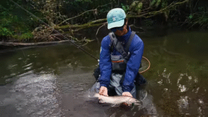 ブルーブルー：YouTube BlueBlueFishing チャンネルに『北海道の湿原河川を釣り上がる / 山本 斐琉【アメマス】ピン撃ちゲーム』が公開されました