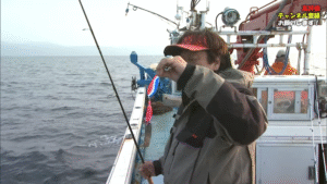 釣りビジョン：YouTube 釣りビジョン -Fishing Vision Japan- チャンネルに『村田基のサケ釣り！噴火湾で秋の風物詩・アキアジを狙う！ 『魚種格闘技戦！ 95』【釣りビジョン】』が公開されました