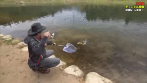 釣りビジョン：YouTube 釣りビジョン -Fishing Vision Japan- チャンネルに『フルキャストが楽しめる大きなポンドでヒレピントラウトと遊ぶ！巨大なヌシ現る！？『エリアトラベラーズ 88』【釣りビジョン】』が公開されました