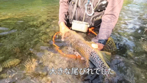 釣楽一生：YouTube 釣楽一生 チャンネルに『壮絶なやりとり 北海道の大型ブラウントラウトを釣るテクニック公開 衝撃的な結末は』が公開されました
