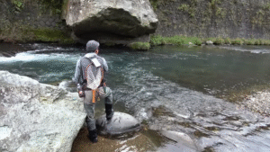 ティムコ：YouTube Tiemco Trout Fishing チャンネルに『禁漁期間を楽しむ！箒川C&Rエリア釣行』が公開されました