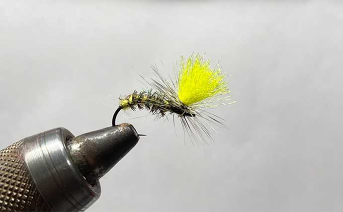 2025年の渓流釣りで大活躍だった【フライ3選】 ドライフライのパラシュートタイプがメイン | TSURINEWS