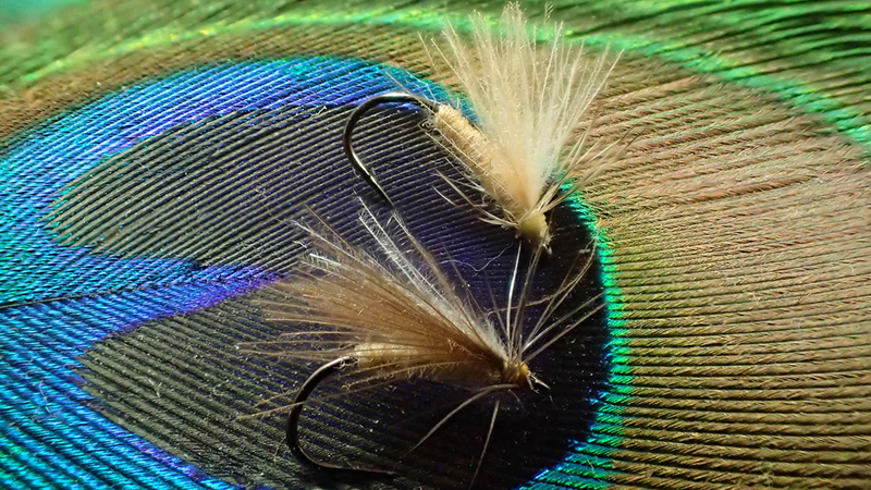 僕がスペントを多用するようになった訳 | ARTICLES | FlyFisher ONLINE　フライフィッシング専門誌フライフィッシャー オフィシャルサイト