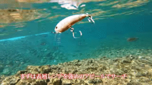 Anglingfan：YouTube アングリングファン TV公式チャンネルに『【SHIFT UP ギアを上げろ！】和田浩輝〜秋のプラッギング大作戦〜』が公開されました