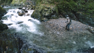 オーナー：YouTube オーナーばり公式チャンネルに『＃689 奥多摩の源流域にイワナを追う～野趣あふれるアドベンチャーフィッシング～』が公開されました