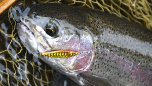 つり人社：つり人オンラインに『川のトラウトは“メタルジグ”で釣れる！シチュエーション別・有効なジグの種類と釣り方【北海道】』が公開されました