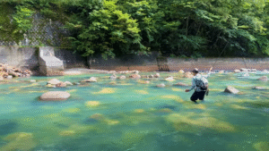 river peak：YouTube river peakチャンネルに『テンカラ101：日本のウルトラライト・フライフィッシングをやさしく解説』が公開されました