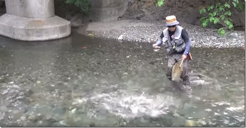 ティムコ 動画 初夏の関東メジャー河川を イメル50s で攻略 が公開されました トラウトフィッシングニュース