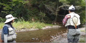 フィッシュパス：YouTube FISHPASS Video チャンネルに『日野川でひたすらキャスティング！！釣るまでがんばる渓流女子』が公開されました