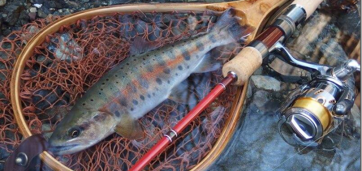 トラウトフィッシングニュース ページ 78 ルアー フライ 餌 釣り方にとらわれない鱒釣りニュースサイト