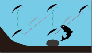 サンライン：『マジックジャークで釣果を伸ばすためのラインローテ術/磯野寛之』が公開されました