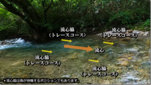 kinoe：YouTube kinoe graphicチャンネルに『渓流用ジャークベイト、ピークガイド55S：基本操作マニュアル -The loop of troutfishingtrail-』が公開されました
