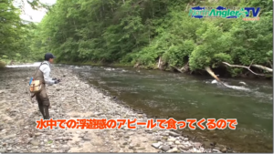 メジャークラフト：YouTube majorcrafttubeチャンネルにて『北海道 空知川水系でアメマスゲーム』が公開されました