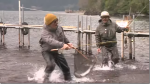釣りビジョン：YouTube 釣りビジョン -Fishing Vision Japan- チャンネルに『杉坂ブラザーズ×芦ノ湖 二人で力を合わせ戦略を練り大型のマスたちを攻略！『フライギャラリー Brotherhood2』イントロver【釣りビジョン】その➀/その➁』が公開されました