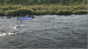ビデオメッセージ：YouTube ビデオメッセージ 釣りTV チャンネルに『千島克也本流瀬釣り ウケを狙う時の立ち位置』が公開されました