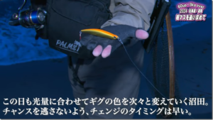 パームス：YouTube Palms officialチャンネルに『北海道海サクラゲーム・板マスを追い求めて 盛春編』が公開されました
