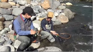 ティムコ：YouTube Tiemco Trout Fishing チャンネルに『【パームス×ティムコ】メーカーコラボ特別企画 風間俊春と田﨑翔の行く春の桂川 【後編】【トラウトルアー】』が公開されました
